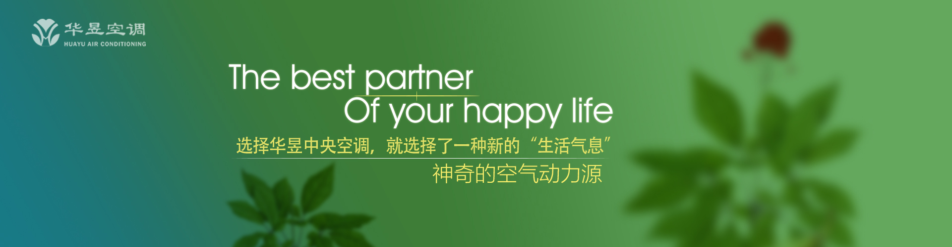 少吃俭用网